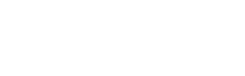 Logo NERAKA11